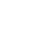 World's Okayest Dad