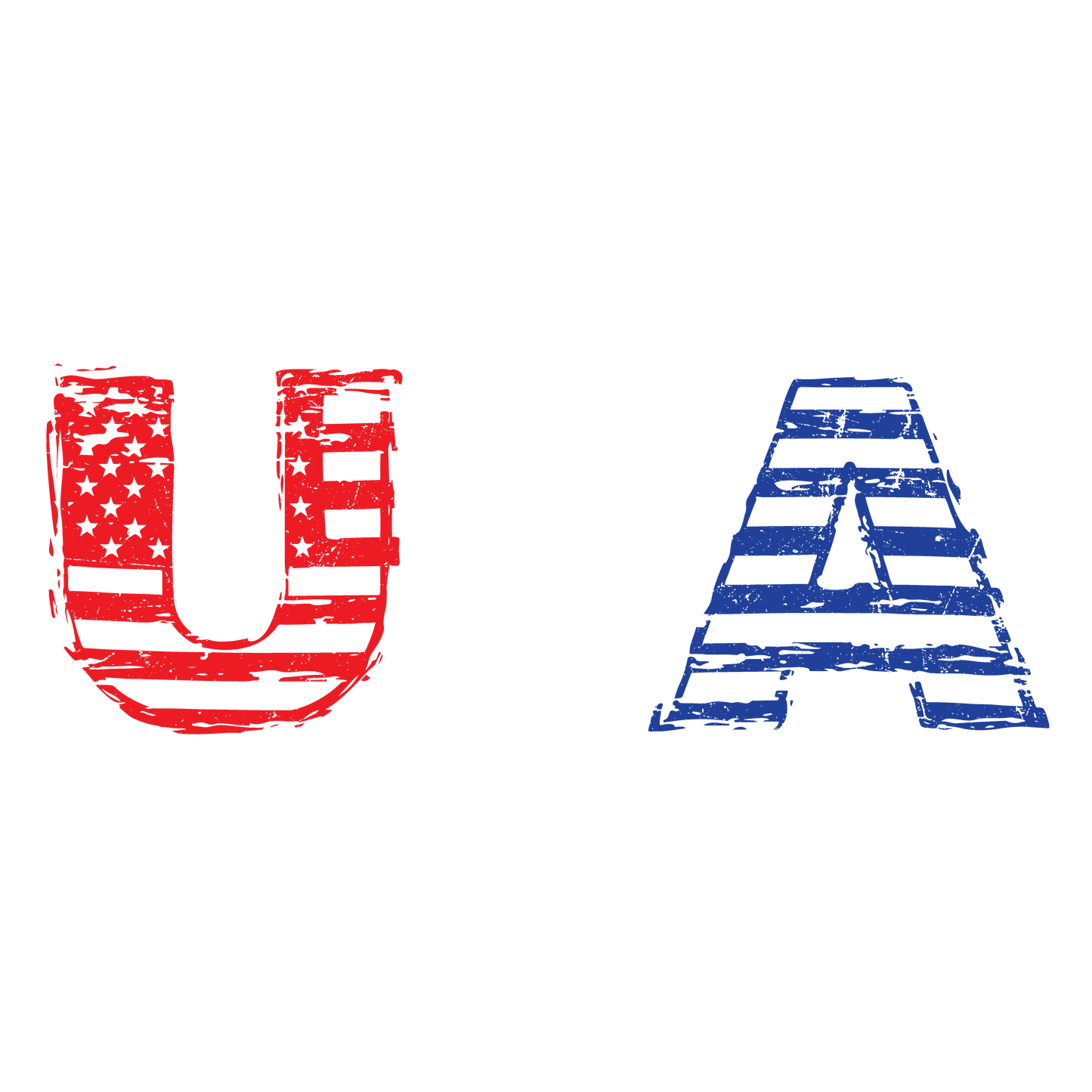 USA 2024 Mens Tshirt