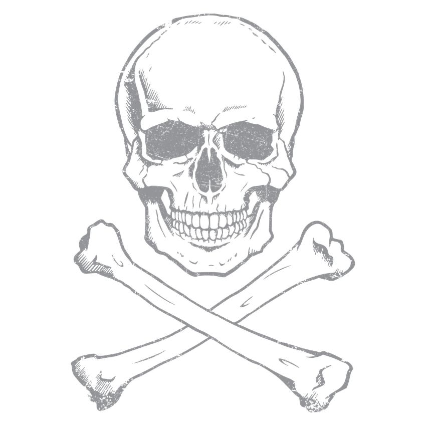 Sketchy Skull Mens Tee Pirate