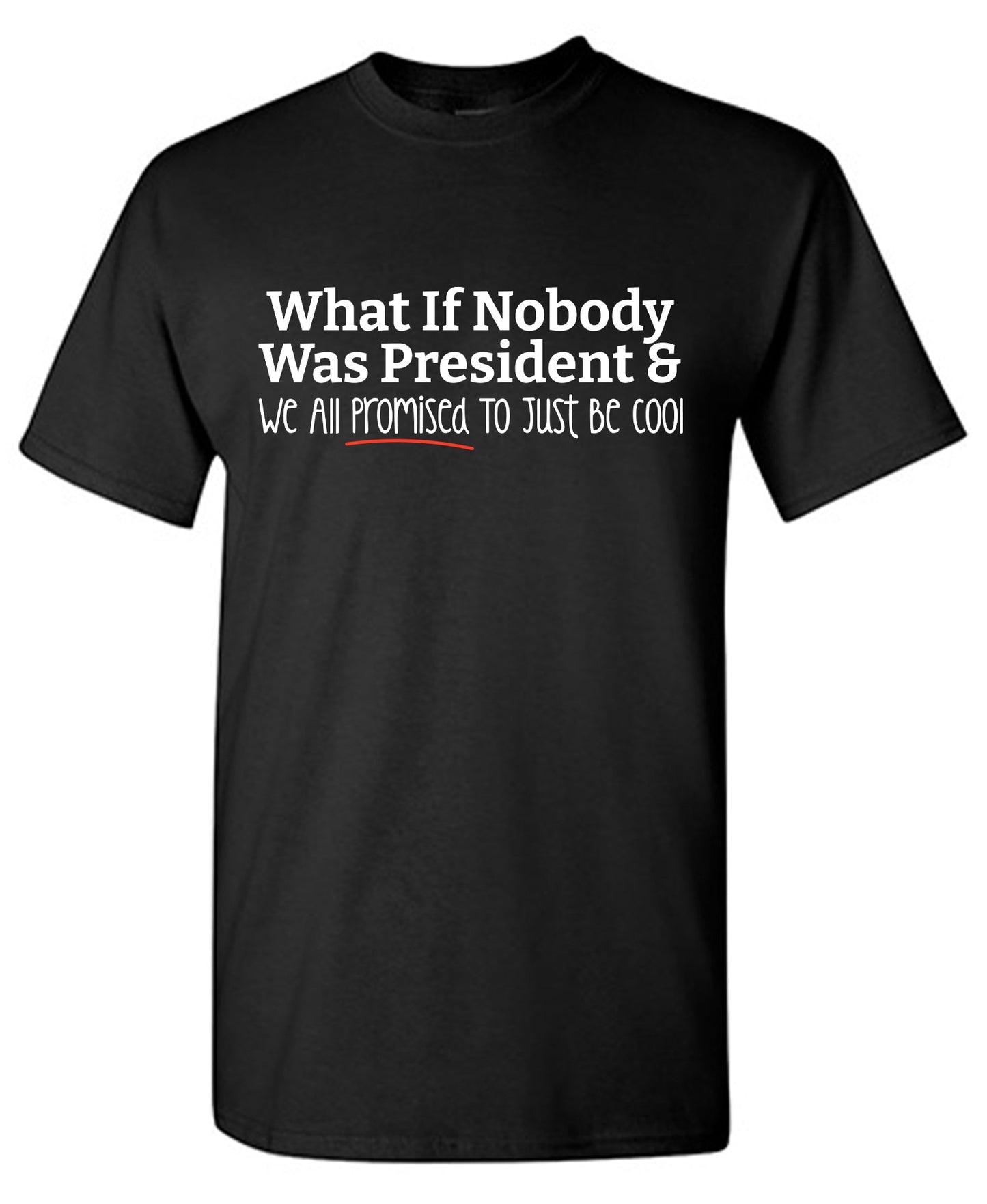 What If Nobody was President and We all Promised just to be Cool