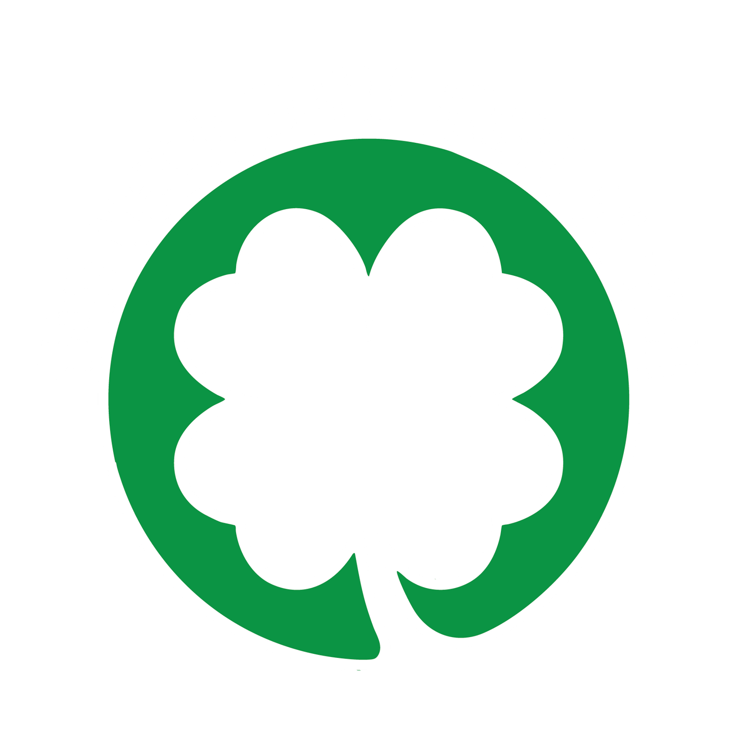 You Need Some Irish In You T Shirt