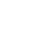 Roadkill T Shirts - You Say I'm Crazy I Call It Mentally Unrestricted T-Shirt