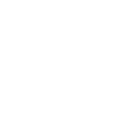 Never Underestimate The Power Of Stupid People Tees