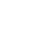 Paper Football Champion - Roadkill T Shirts