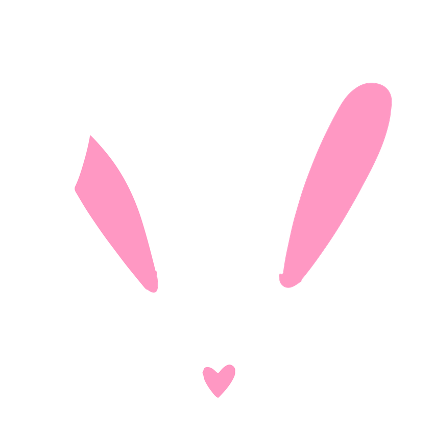 Funny T-Shirts design "BUNNY FACE"