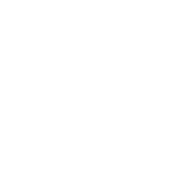 A Day Without Beer Probably Won't Kill Me - Roadkill T Shirts