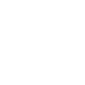 My Dog Thinks I'm Cool - Roadkill T Shirts