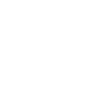 Official St. Patrick's Day Beer Drinking Shirt - Roadkill T Shirts