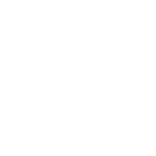 Wake Up Be Awesome Be Kind Repeat - Roadkill T Shirts