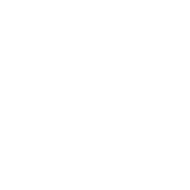 Someone's Therapist Knows All About You - Roadkill T Shirts