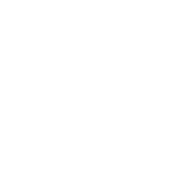 Naughty Nice Tried My Best - Roadkill T Shirts
