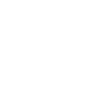 Make St. Patrick's Day Great Again - Roadkill T Shirts