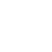 I Wonder If Pizza Thinks About Me Too - Roadkill T Shirts