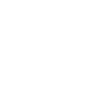 My Therapist Has Paws - Roadkill T Shirts