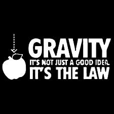 Gravity It's Not Just A Good Idea T-Shirt