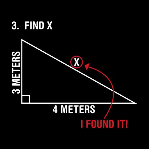 Find X - Roadkill T Shirts