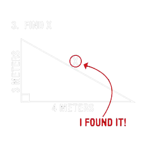 Find X - Roadkill T Shirts