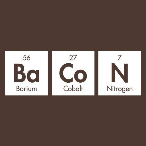 Bacon Elements - Roadkill T Shirts