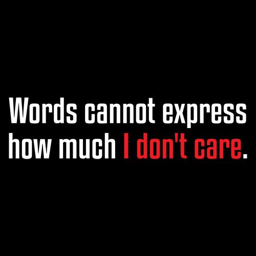 Words Cannot Express How Much I Don't Care T-Shirt