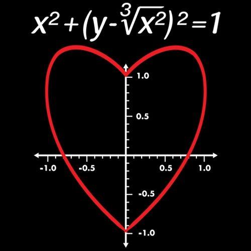 Love Function - Roadkill T Shirts