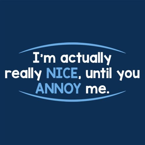 I'm Actually Really Nice T-Shirt
