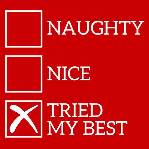 Naughty Nice Tried My Best - Roadkill T Shirts