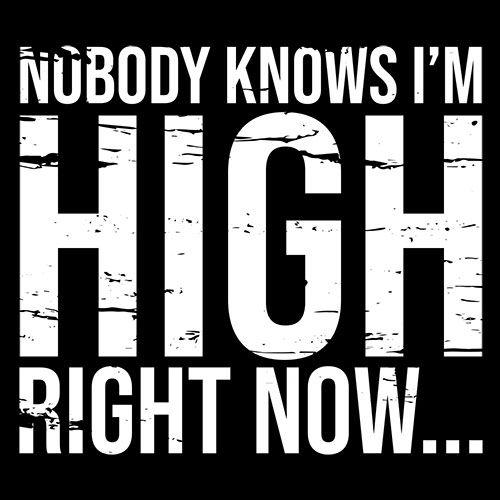Nobody Knows I'm High Right Now... - Roadkill T Shirts