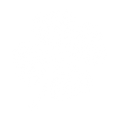 4Leaf Clover 2024 Mens Tshirt