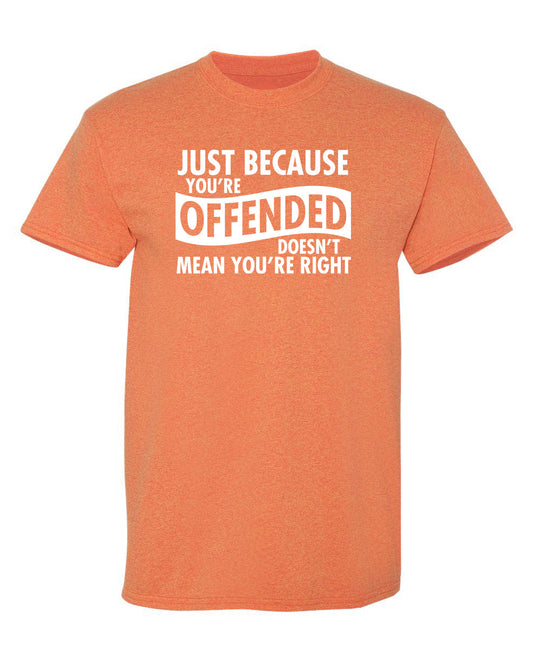 Just Because Your Offended Doesn't Mean You're Right