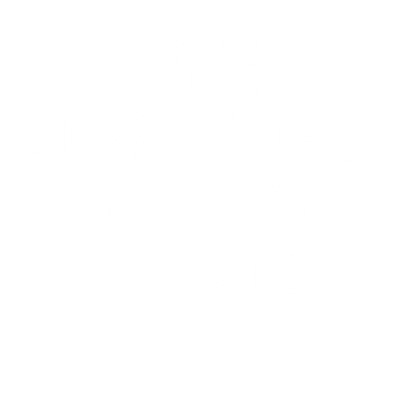 Government 2024 Mens Tshirt