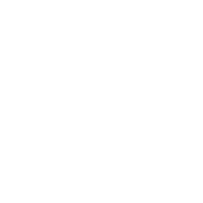 Merry Everything Christmas Tee