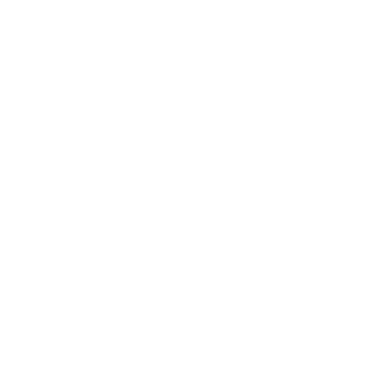 LEOFunny T Shirt