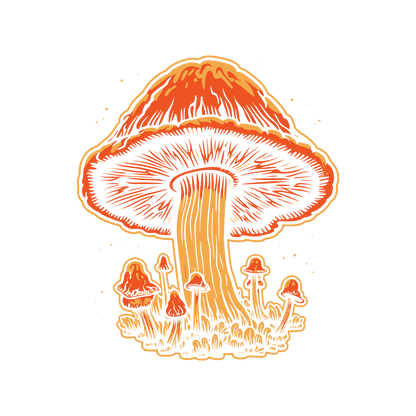 Orange Mushrooms Graphic T Shirt