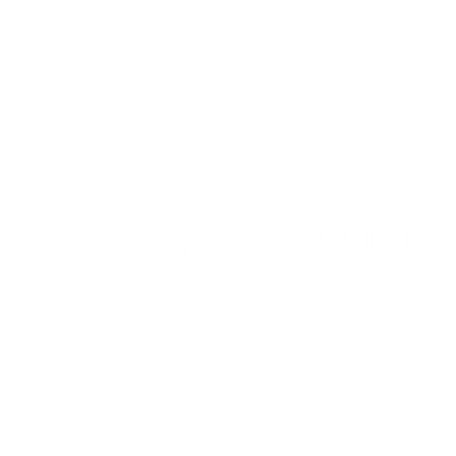 I Ignore my Problems like an Adult Tee