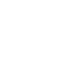 I might Look Like I'm Doing Nothing But In my Head I'm Quite Busy - Roadkill T Shirts