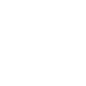 Mathletic - Roadkill T Shirts