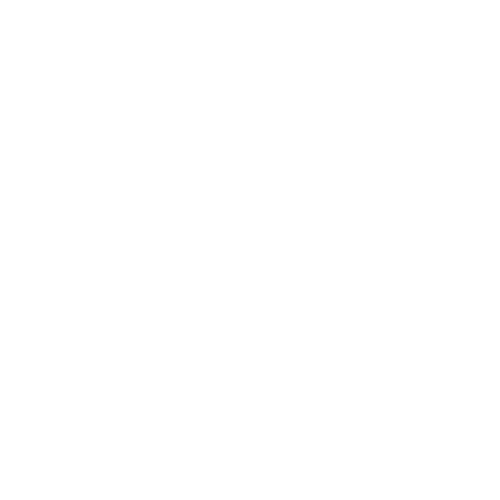 RED WHITE BOOZE MERICA