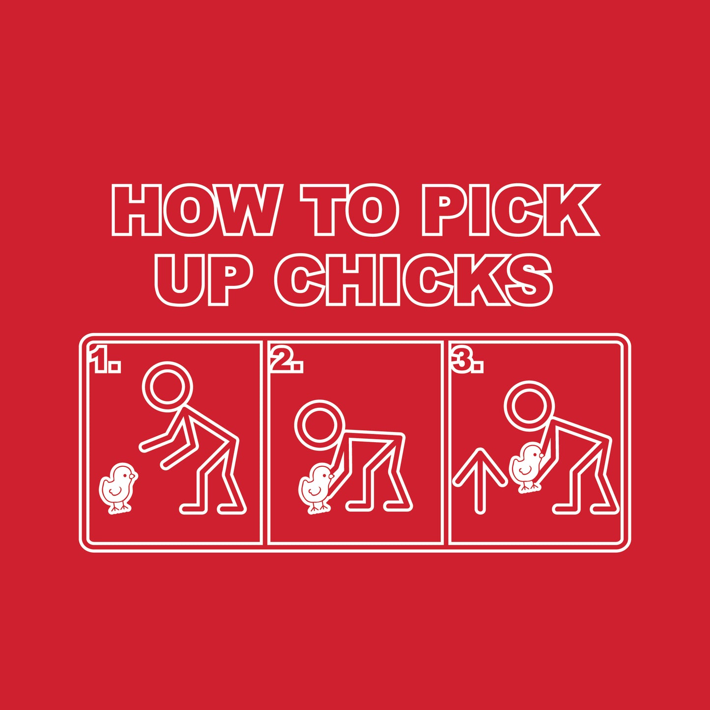 How To Pick Up Chicks