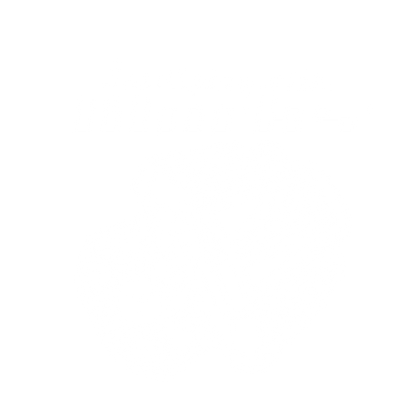PLAY BLOCKS