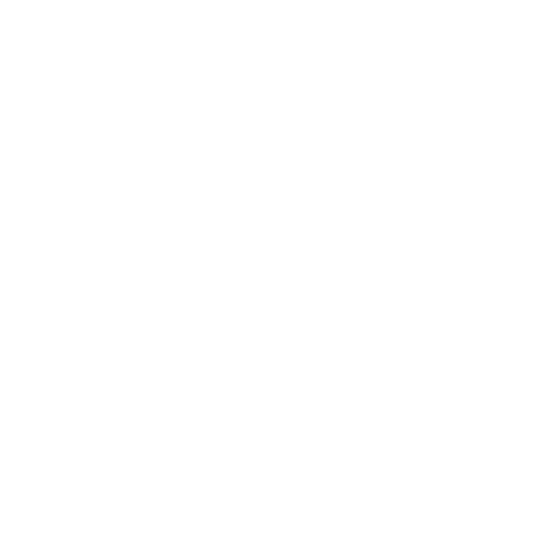 Dad Joke Survivor