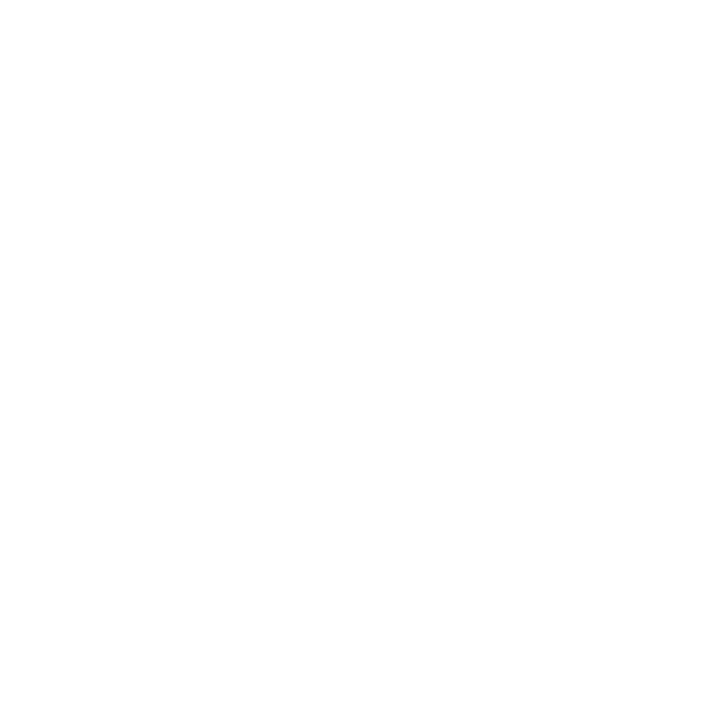 SHENANIGANS BEGIN
