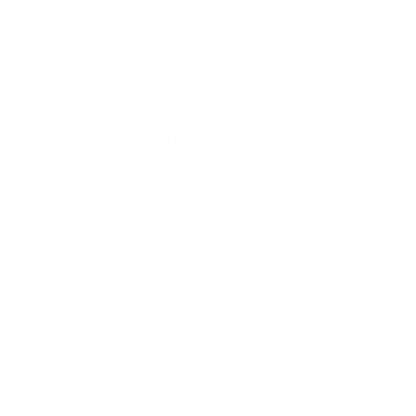 SHENANIGANS BEGIN