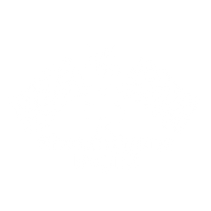 Funny T-Shirts design "SHENANIGANS BEGIN"