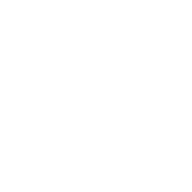 Let's Flip A Coin Head I Get Tail Tails I Get Head - Roadkill T Shirts