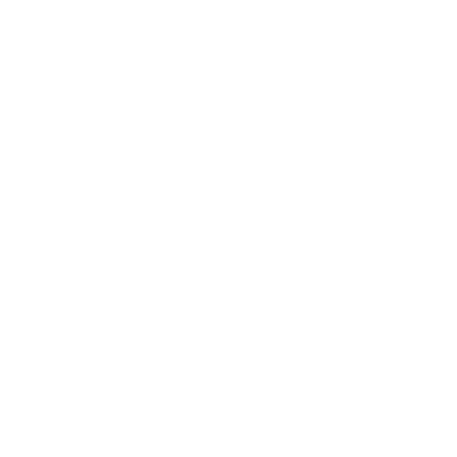 WHOS BACK