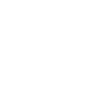 Future Trophy Wife - Roadkill T Shirts