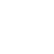 I Speak Fluent Sarcasm - Roadkill T Shirts