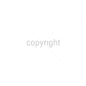 SHENANIGANS
