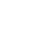 I'm Not Always Right But I'm Never Wrong - Roadkill T Shirts