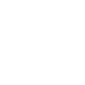 Irish Drinking Team - Roadkill T Shirts